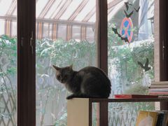 -隅cafe(傅厚岗店)