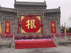 -大槐树寻根祭祖园