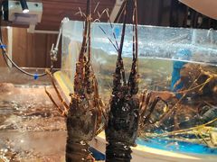 -黑木原精致料理·铁板烧