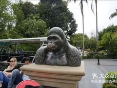 -圣地亚哥动物园