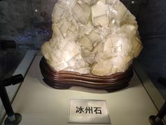 -陕西自然博物馆