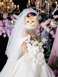 -南昌喜来登酒店·宴会厅