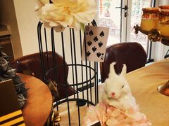 -Timo队长·高端生日派对策划机构(静安寺店)