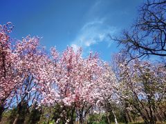 -元大都城垣遗址公园