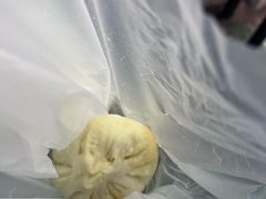 -老陶包子铺(南大西南村店)