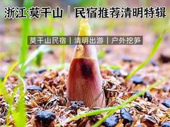-莫干山风景区