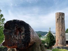 -国家植物园南园