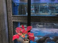 -海鲜潮·株洲海鲜集市(栗雨店)