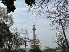 -文华公园(禅城区)