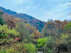 -秦岭风景区