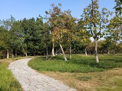 -白塘生态植物园