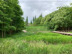 -长田漾湿地公园