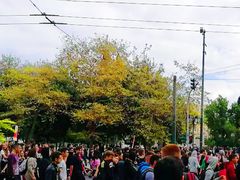 -宪法广场
