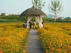 -径山花海