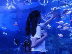 -顺德南宏海立方海洋公园