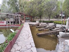 -水车博览园