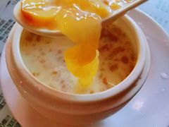 -俊丽双皮奶甜品店