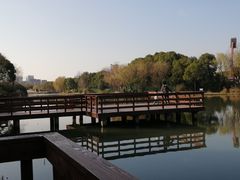 -新江湾城公园