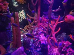 -沈阳海洋探索中心