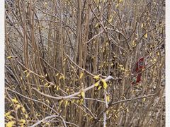 -长春公园(普阳街道)