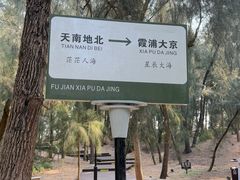 -大京沙滩