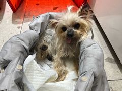-FAELING PETS美天灵宠物(合生汇店)