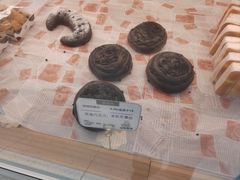 -心乐生活新鲜屋(星海广场店)