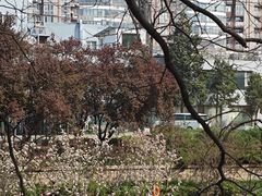 -元大都城垣遗址公园