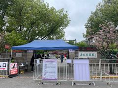 -嘉定紫藤园