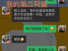 -久久宠物(河东万达店)