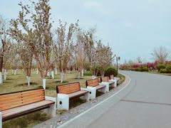 -水西公园