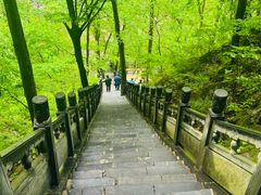 -洛阳白云山景区