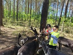-北极村旅游风景区
