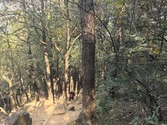 -灵岩山风景区