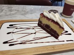 -哈根达斯(深圳海岸城店)