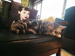 -咖法森林·咖啡  酒吧(天河店)