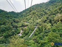 -南丹山森林王国
