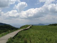 -白草畔自然风景区