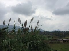 -成都蒲江花样年福朋喜来登度假酒店·宜客乐西餐厅