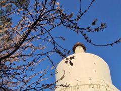 -东华门大街小区