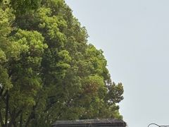 -镇江博物馆