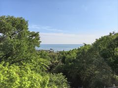 -青岛崂山太清宫
