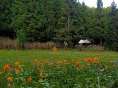 -武陵山森林公园