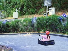 -圣淘沙天际线斜坡滑车