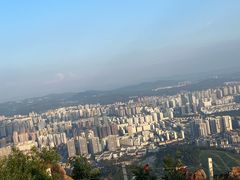 -长虫山生态公园风景林