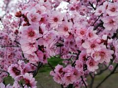 -白塘生态植物园