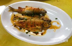 Pan-fried Barracuda
