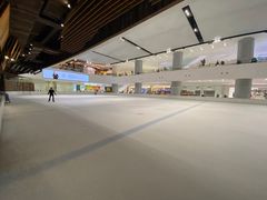-TheRink大零溜冰场(IFS国金中心店)