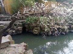 -苏州桃花坞国际青年旅舍