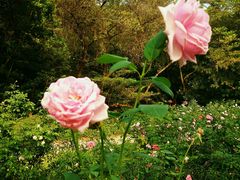 -人民公园(罗湖区)